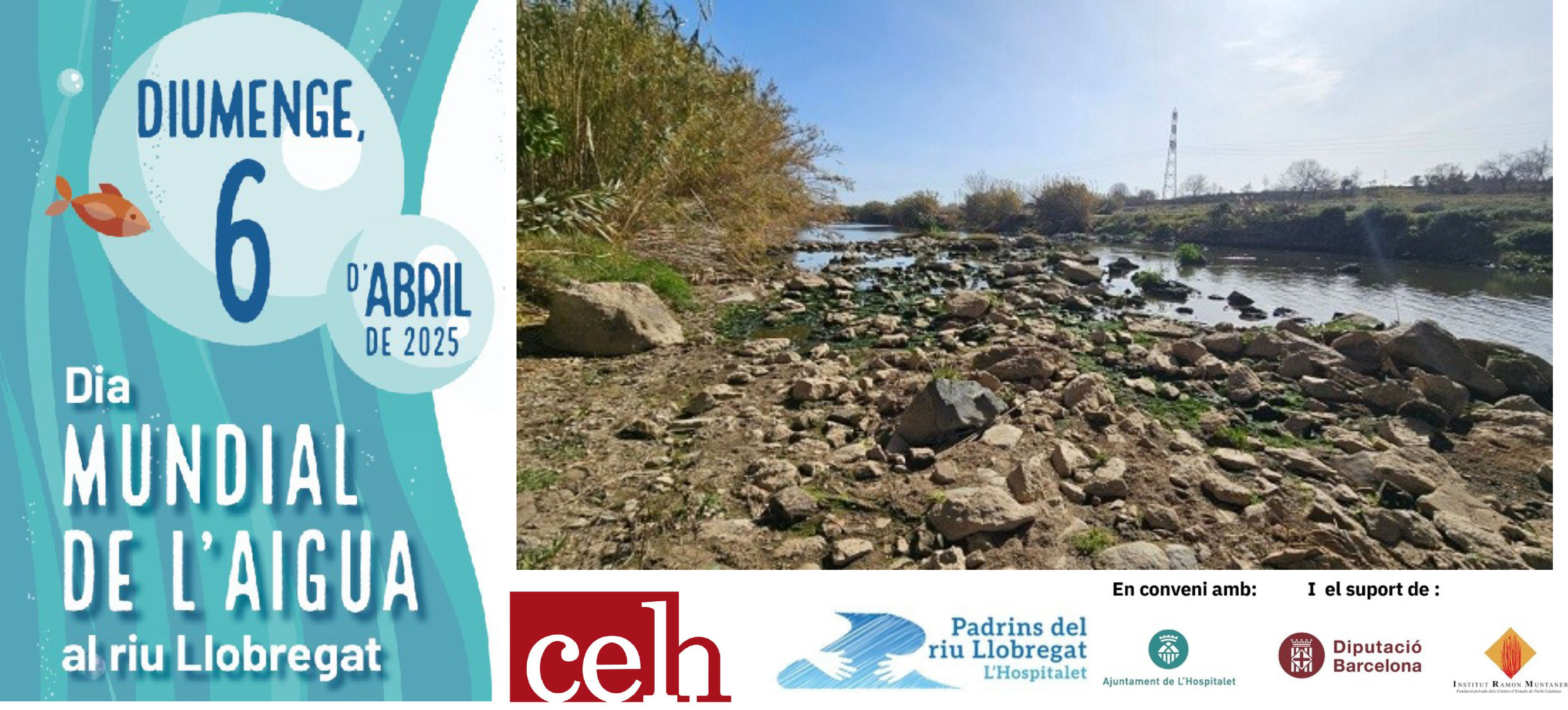 dia mundial de l'aigua int agenda