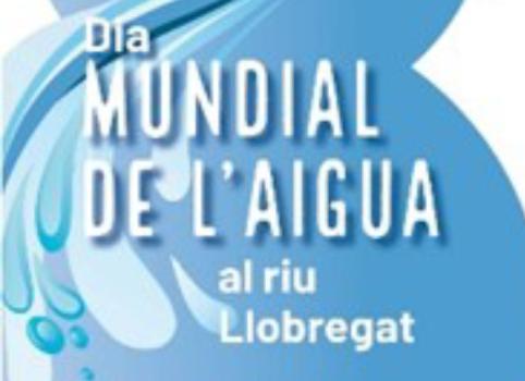 dia mundial aigua